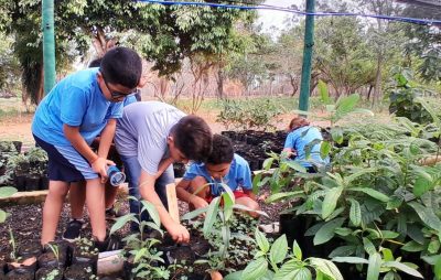 Em comemoração ao Dia da Árvore, Águas Guariroba promove educação ambiental com plantio de mudas