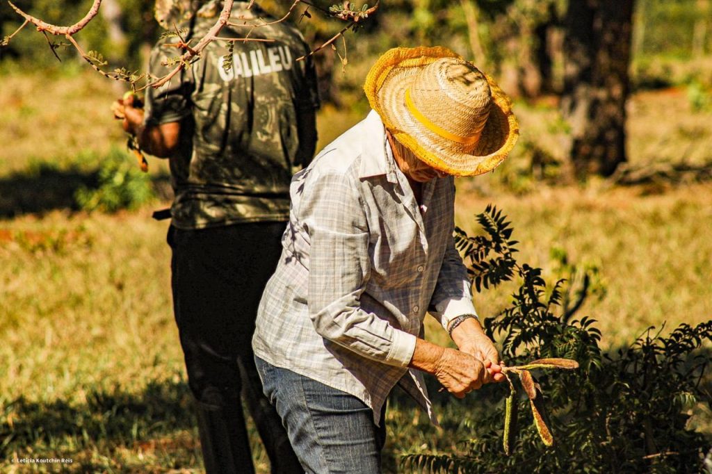 Águas Guariroba fecha parceria com Rede de sustentabilidade e conservação ambiental